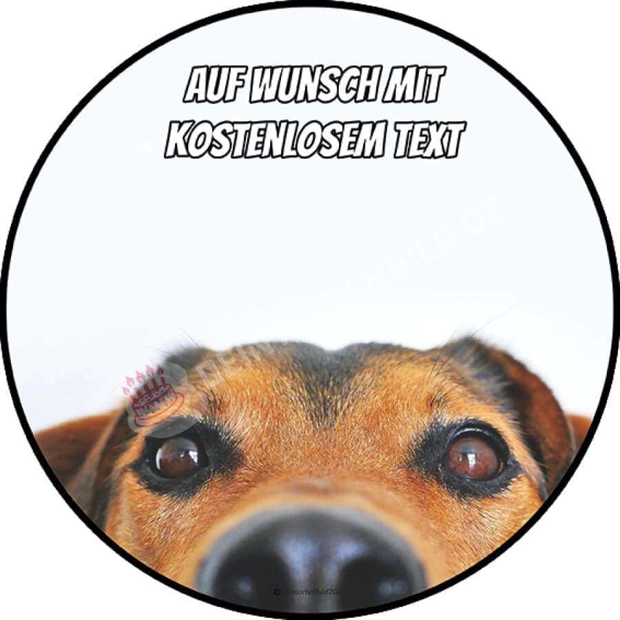 Motiv: Hundekopf mit Spruch - Hochwertige und individuelle Tortenaufleger für jeden Anlass
Tortenaufleger Hundekopf mit Spruch 20cm Kreis
Unsere Tortenaufleger sind ein ideales Geschenk für beso - Tortenbild - DeintortenbildHundekopf mit Spruch