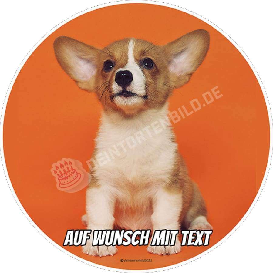 Motiv: Corgi - Hochwertige und individuelle Tortenaufleger für jeden Anlass
Tortenaufleger Corgi in 20cm Kreis
Unsere Tortenaufleger sind ein ideales Geschenk für besondere Mensch - Tortenbild - DeintortenbildMotiv