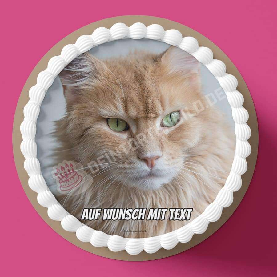 Motiv: Katze Beige - Hochwertige und individuelle Tortenaufleger für jeden Anlass
Tortenaufleger Katze Beige Fotomotiv 20cm Kreis
Unsere Tortenaufleger sind ein ideales Geschenk für bes - Tortenbild - DeintortenbildKatze Beige