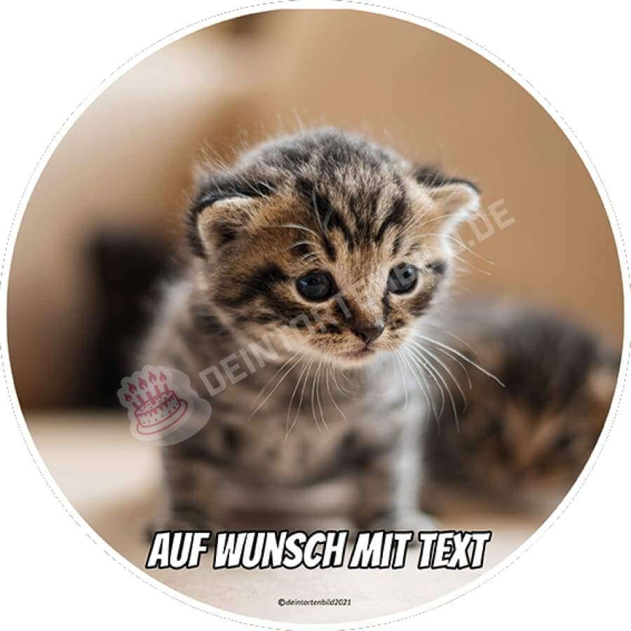 Motiv: Katzenbaby - Hochwertige und individuelle Tortenaufleger für jeden Anlass
Tortenaufleger Katzenbaby 20cm Kreis
Unsere Tortenaufleger sind ein ideales Geschenk für besondere Mens - Tortenbild - DeintortenbildMotiv