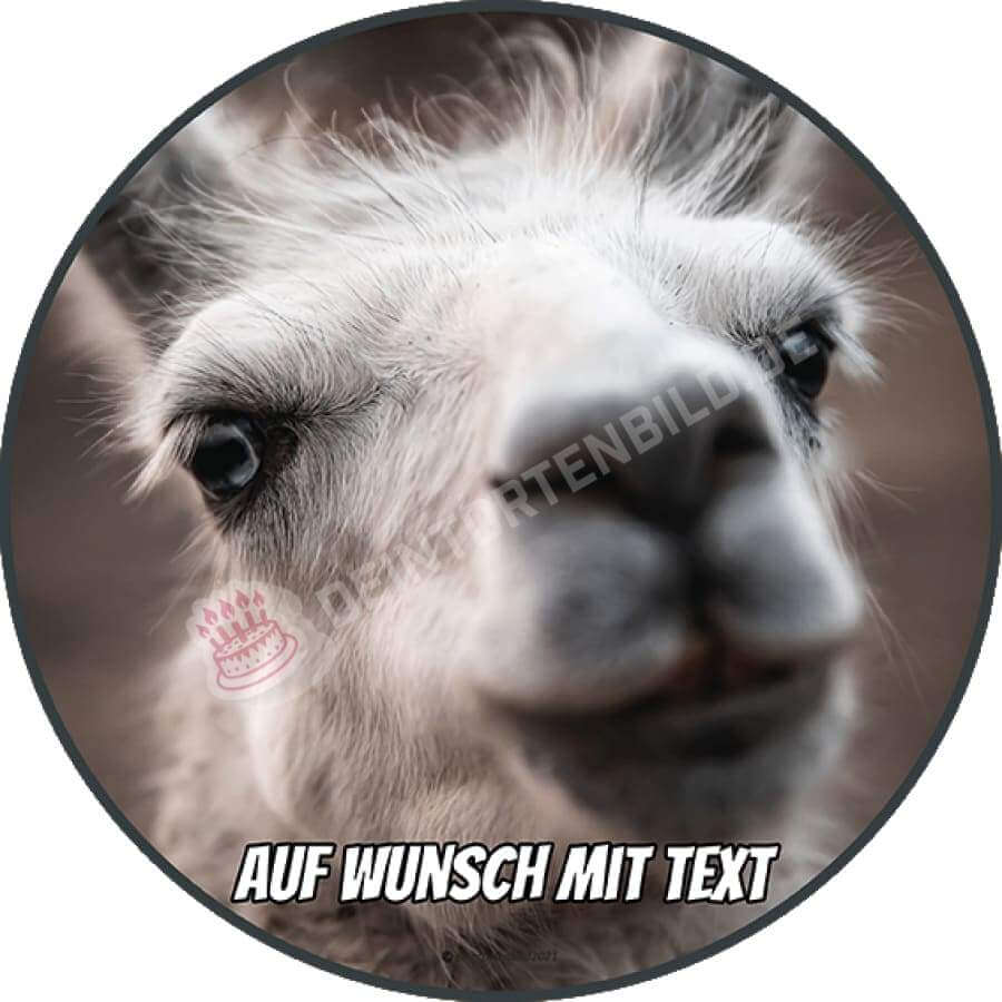 Motiv: Lama Kopf - Hochwertige und individuelle Tortenaufleger für jeden Anlass
Tortenaufleger Lama Kopf nah in 20cm Kreis
Unsere Tortenaufleger sind ein ideales Geschenk für besonder - Tortenbild - DeintortenbildLama Kopf