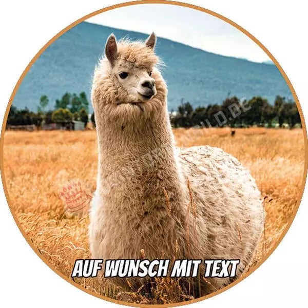 Motiv: Wolliges Lama - Hochwertige und individuelle Tortenaufleger für jeden Anlass
Tortenaufleger Wolliges Lama in 20cm Kreis
Unsere Tortenaufleger sind ein ideales Geschenk für besonder - A4 Tortenbild - DeintortenbildWolliges Lama