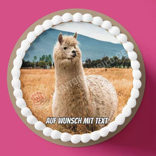 Motiv: Wolliges Lama - Hochwertige und individuelle Tortenaufleger für jeden Anlass
Tortenaufleger Wolliges Lama in 20cm Kreis
Unsere Tortenaufleger sind ein ideales Geschenk für besonder - A4 Tortenbild - DeintortenbildWolliges Lama