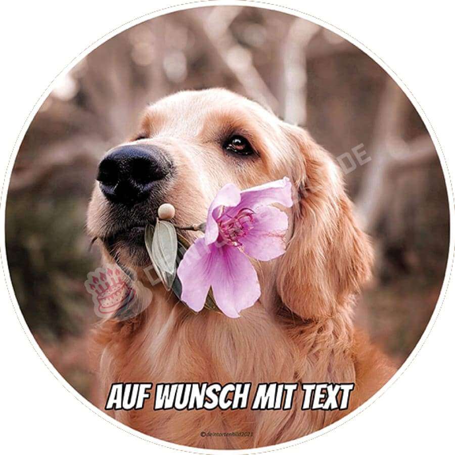 Motiv: Hund mit Blume - Hochwertige und individuelle Tortenaufleger für jeden Anlass
Tortenaufleger Hund mit Blume in 20cm Kreis
Unsere Tortenaufleger sind ein ideales Geschenk für besonde - Tortenbild - DeintortenbildHund mit Blume
