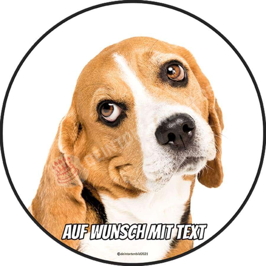 Motiv: Beagle Hund - Hochwertige und individuelle Tortenaufleger für jeden Anlass
Tortenaufleger Beagle Hund in 20cm Kreis 
Dieser Tortenaufleger mit einem Beagle Hund der süß nach oben  - Tortenbild - DeintortenbildBeagle Hund