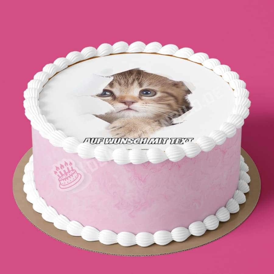 Motiv: Katze durch Papier #3 von Deintortenbild – Tortenaufleger, Tortenfoto, Tortenbild, personalisiert & individuell bei Deintortenbild.de